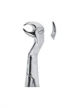Extracting Forceps